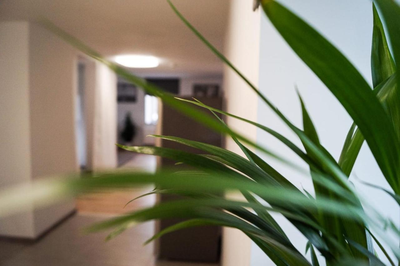 Wohlfühlen am Großen Goitzschesee inkl. Netflix Holzweissig Exterior foto
